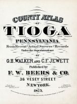 Tioga County 1875 